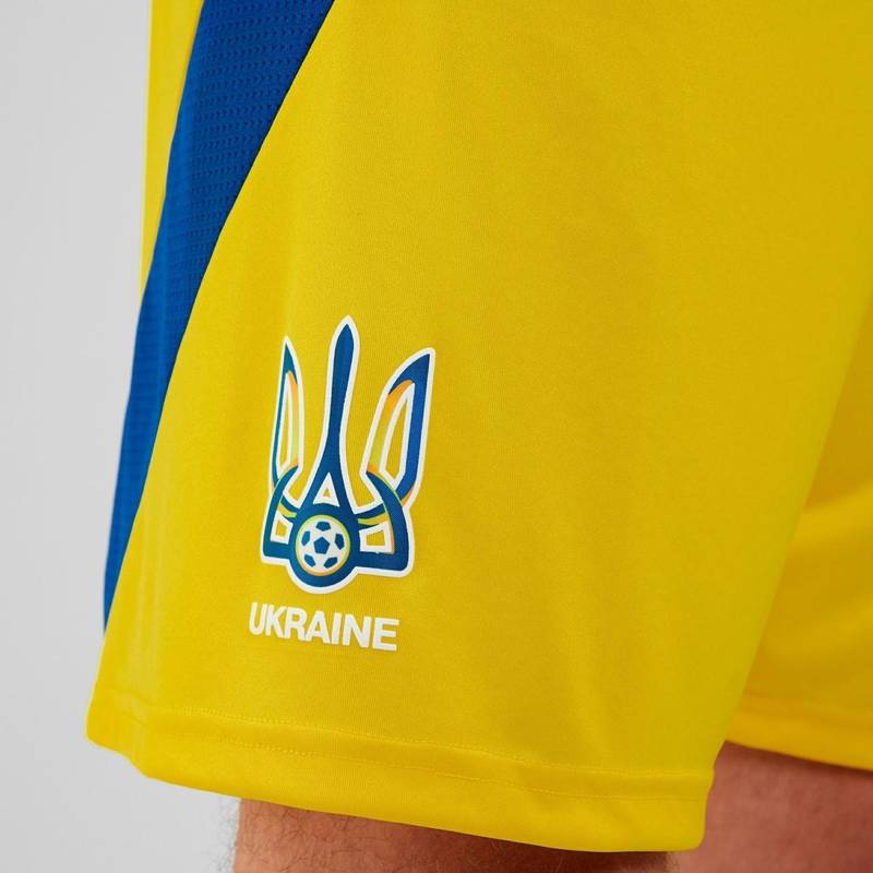 Мужские домашние шорты Украина 24 Adidas IK2248, рис. 4