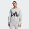 Світшот чоловічий Essentials Big Logo French Terry Sportswear Adidas JE8952, прев. 0
