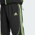 Спортивные мужские штаны Teamgeist Adicolor Originals Adidas JW5869, прев. 3
