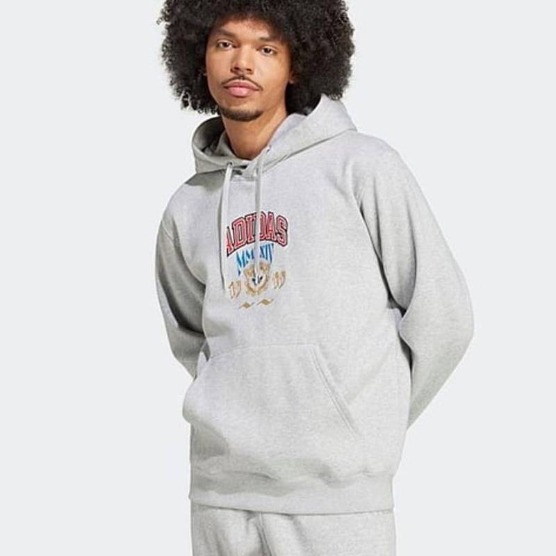 Худі чоловіче Hooded 1 Sweatshirt Grey Adidas IX6770, рис. 0