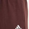 Спортивні штани чоловічі Essentials Adidas IY9086, прев. 3