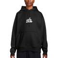 Толстовка Nike SB FLC PO ESSENTIAL HBR DS-FN2498-010, прев. 0