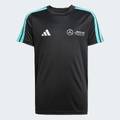 Футболка Mercedes - AMG Petronas Formula One Team DNA Kids Adidas JV5423, прев. 0