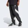 Спортивные штаны Stadium Adidas JN1830, прев. 0