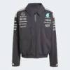 Куртка Mercedes - AMG Petronas Formula One Team Adidas JX0748, прев. 6