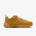 Кросівки Nike AIR MONARCH SE DS-IB2281-700, прев. 0