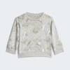 Комплект: світшот і штани Seasonal Essentials Adiraptor French Terry Kids Adidas JW2406, прев. 1