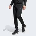 Спортивні штани Train Essentials Seasonal Adidas JV7316, прев. 0