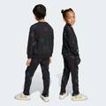 Комплект: світшот і штани X Smiley World Kids Adidas JY4803, прев. 1