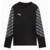 Вратарская детская кофта Puma teamLIGA 26 GK 706549-03, прев. 0