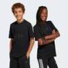 Футболка ALL SZN Graphic Kids Adidas JC7616, прев. 0