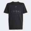 Футболка ALL SZN Graphic Kids Adidas JC7616, прев. 5