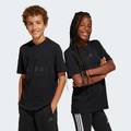 Футболка ALL SZN Graphic Kids Adidas JC7616, прев. 0
