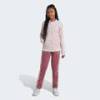 Спортивный костюм Essentials 3-Stripes Adidas IZ3460, прев. 0