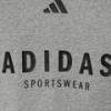 Детская футболка ALL SZN Graphic Tee Kids Adidas JC7641, прев. 3
