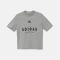 Детская футболка ALL SZN Graphic Tee Kids Adidas JC7641, прев. 1