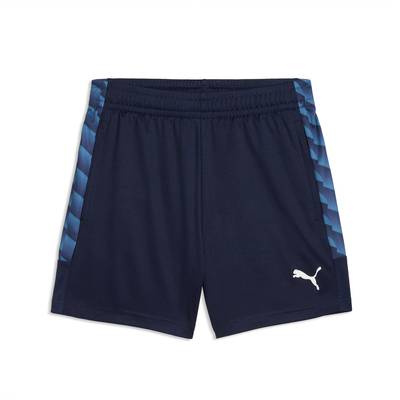 Тренировочные шорты teamLIGA26 PUMA 659732-06