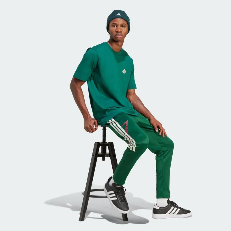 Брюки мужские House of Tiro Nations Pack Adidas JN2574, рис. 2