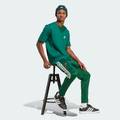 Брюки мужские House of Tiro Nations Pack Adidas JN2574, прев. 2