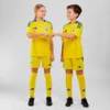 Футболка збірної України Ukraine 24 Kids Performance Adidas IP2189 24/25 , прев. 2