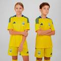 Футболка сборной Украины Ukraine 24 Kids Performance Adidas IP2189 24/25 оригинал, прев. 0