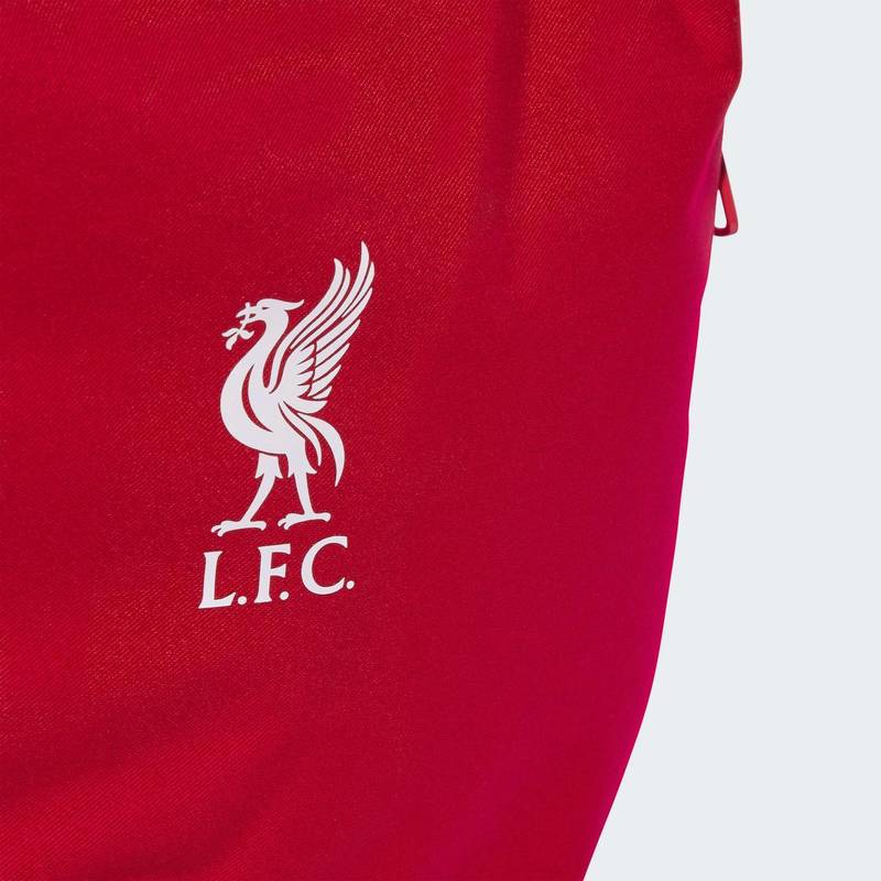 Рюкзак Liverpool FC Adidas JZ5881, рис. 3