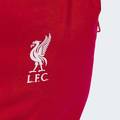 Рюкзак Liverpool FC Adidas JZ5881, прев. 3