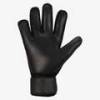 Рукавиці воротарські Nike GK MATCH - HO23 DS-FJ4862-014, прев. 1