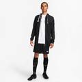 Толстовка Nike M DF STRK23 HD TRK JKT K DS-DR2571-010, прев. 5