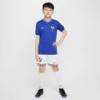 Футболка Nike FFF Y DF STAD JSY SS HM DS-FJ1583-452, прев. 6