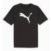 Футболка Puma teamRISE Logo чорний 658705-03, прев. 0