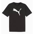 Футболка Puma teamRISE Logo черный 658705-03, прев. 0