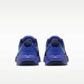 Кросівки Nike M METCON 10 DS-HJ1875-501, прев. 5