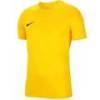 Футболка дитяча Nike Dry Park VIII HV8182-719