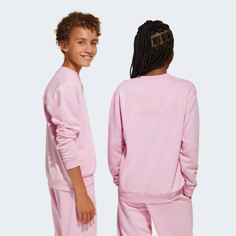 Свитшот All SZN Graphic Crew Kids Adidas JI6167, рис. 1