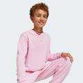 Свитшот All SZN Graphic Crew Kids Adidas JI6167, прев. 3