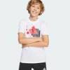 Футболка дитяча Camo Training Graphic Tee Kids Adidas JI9092, прев. 5