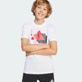 Футболка дитяча Camo Training Graphic Tee Kids Adidas JI9092, прев. 5