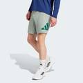 Шорты Essentials Logo Adidas JD4872, прев. 0