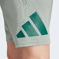 Шорты Essentials Logo Adidas JD4872, прев. 3