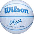 М'яч баскетбольний Wilson CC ENVISION BSKT size 6 DT1-WZ3022401XB6, прев. 0