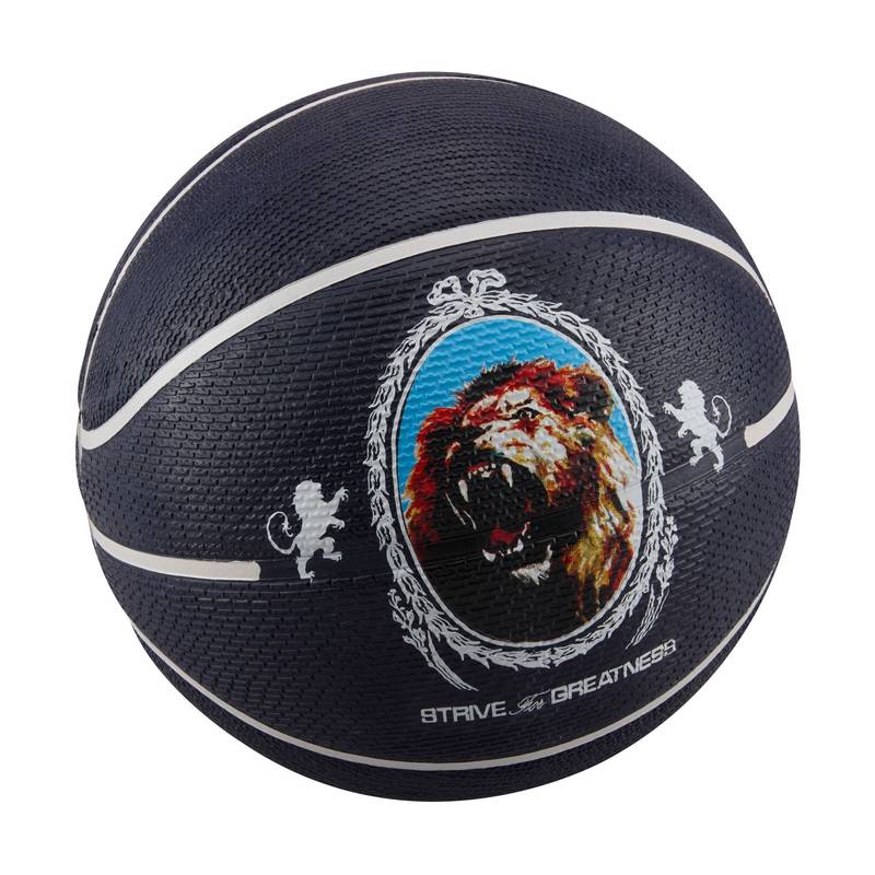 М'яч баскетбольний Nike PLAYGROUND 2.0 8P L JAMES DEFLATED DS-N.100.4372.506.07, рис. 0