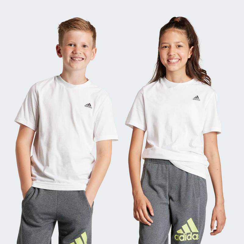 Футболка Essentials Small Logo Cotton Adidas IB4093, рис. 0