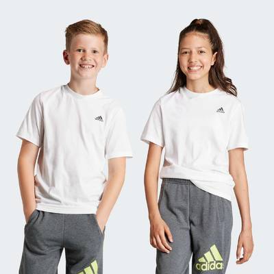Футболка Essentials Small Logo Cotton Adidas IB4093
