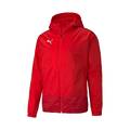 Ветровка Puma Teamgoal Training Rain Jacket 656559-01, прев. 0