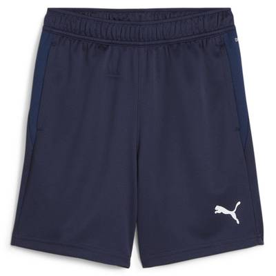 Тренировочные детские шорты Puma Teamgoal Jr 658644-06