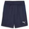 Тренировочные детские шорты Puma Teamgoal Jr 658644-06, прев. 0