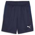 Тренировочные детские шорты Puma Teamgoal Jr 658644-06, прев. 0