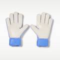 Рукавиці воротарські Nike GK MATCH - HO24 DS-HQ0257-494, прев. 1