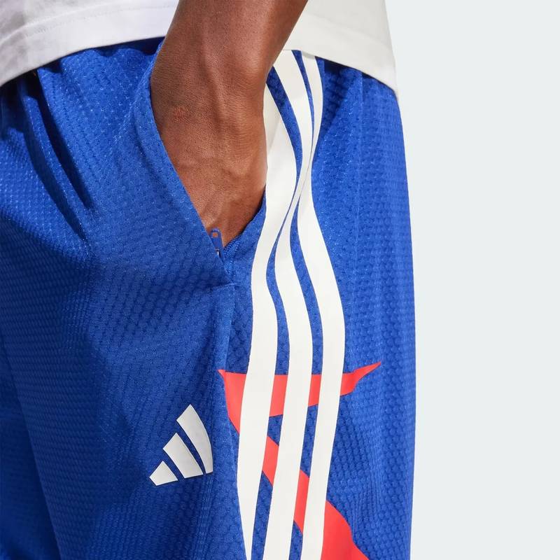 Мужские шорты House of Tiro Nations Pack Adidas JN2573, рис. 4